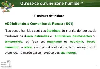 Qu’est-ce qu’une zone humide ?