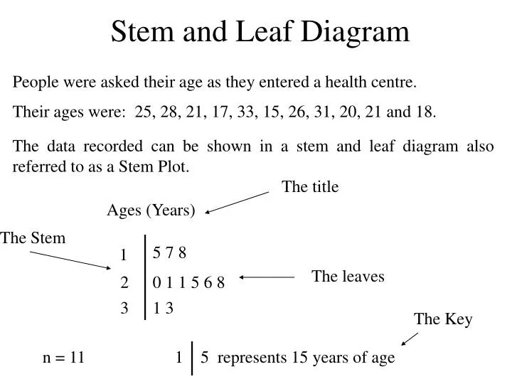 stem and leaf diagram