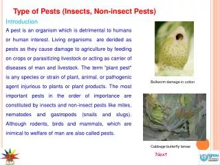 Type of Pests (Insects, Non-insect Pests)