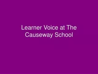 Learner Voice at The Causeway School