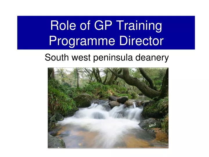 role of gp training programme director