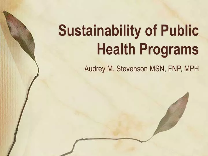 sustainability of public health programs