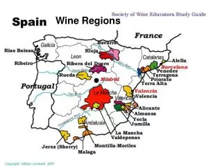 Wine Regions