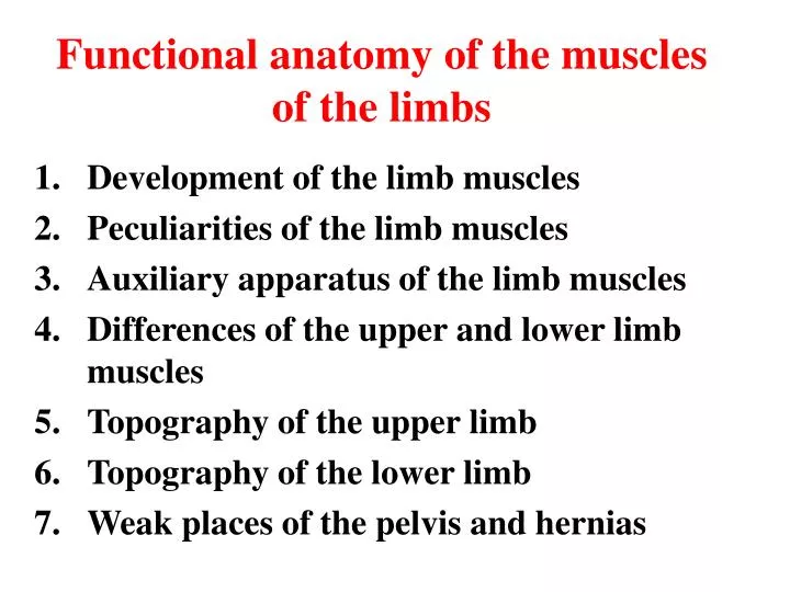 functional anatomy of the muscles of the limbs