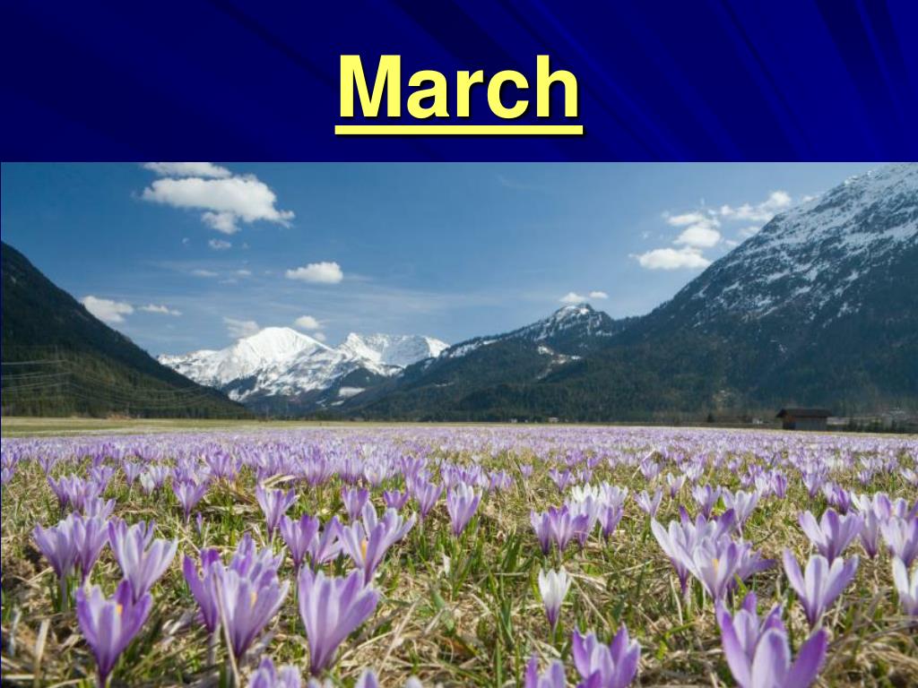 PPT - March PowerPoint Presentation, free download - ID:702762
