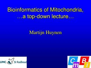 Bioinformatics of Mitochondria, …a top-down lecture…
