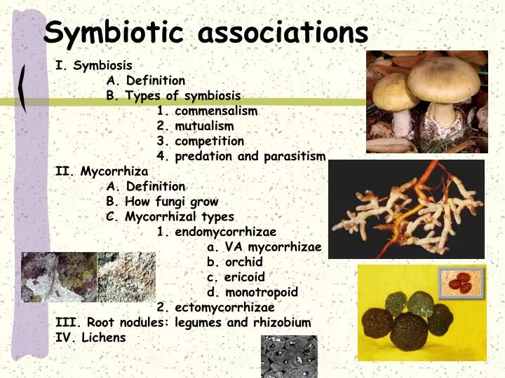 symbiotic associations