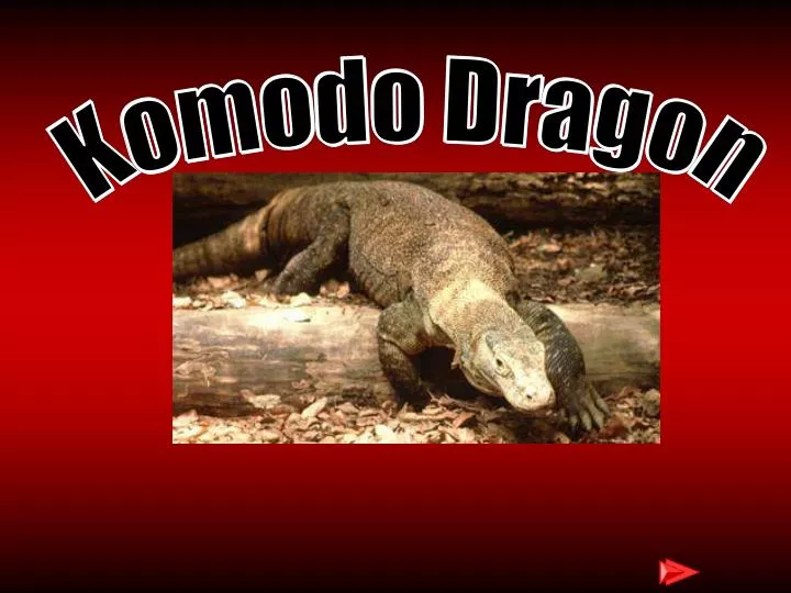 Komodo 14 - free download!