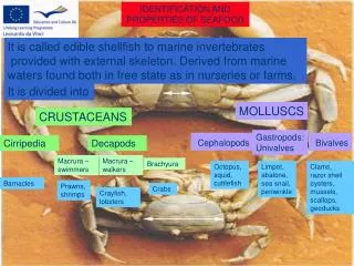 IDENTIFICATION AND PROPERTIES OF SEAFOOD