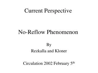 Current Perspective No-Reflow Phenomenon