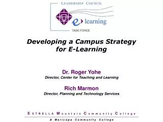 Developing a Campus Strategy for E-Learning