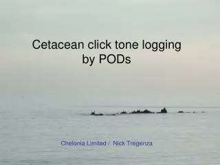 Cetacean click tone logging by PODs Chelonia Limited / Nick Tregenza