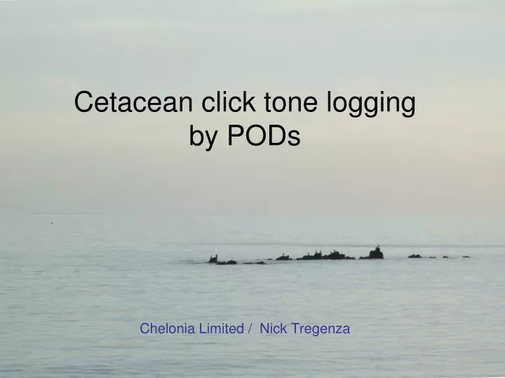 cetacean click tone logging by pods chelonia limited nick tregenza