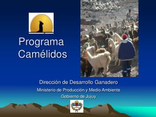 programa cam lidos