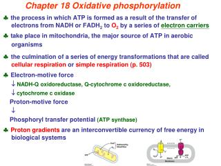 Chapter 18 Oxidative phosphorylation