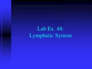 Lab Ex. 48: Lymphatic System