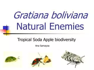 Gratiana boliviana Natural Enemies