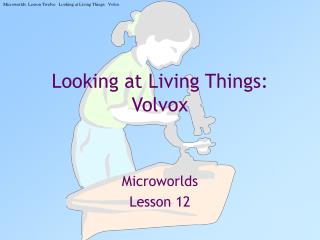 Looking at Living Things: Volvox