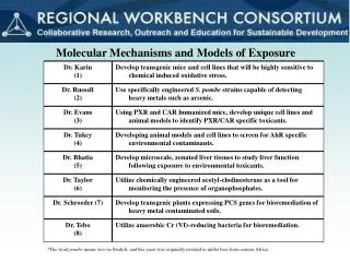 Molecular Mechanisms and Models of Exposure