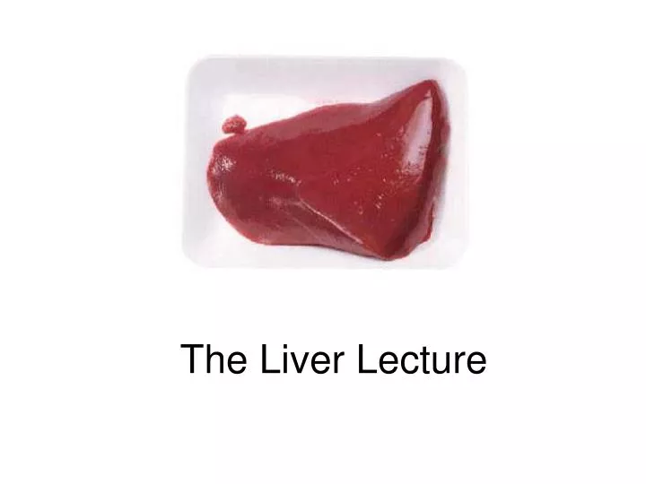 the liver lecture