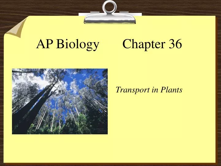 ap biology chapter 36