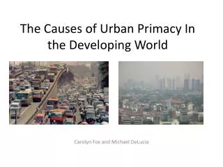 The Causes of Urban Primacy In the Developing World
