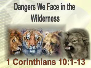 Dangers We Face in the Wilderness