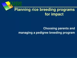 Planning rice breeding programs for impact