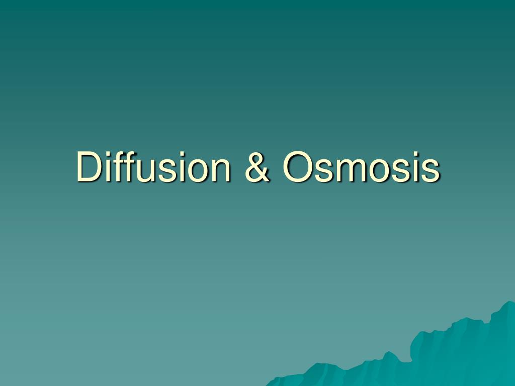 PPT - Diffusion & Osmosis PowerPoint Presentation, free download - ID ...