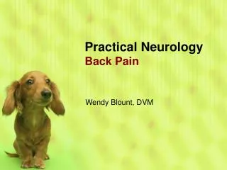 Practical Neurology Back Pain