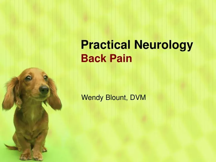 practical neurology back pain
