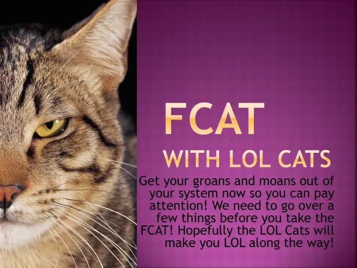 fcat with lol cats