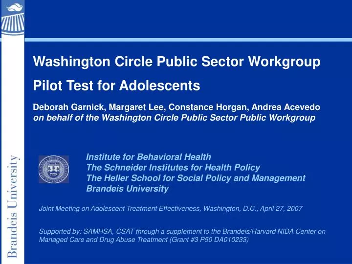 washington circle public sector workgroup pilot test for adolescents