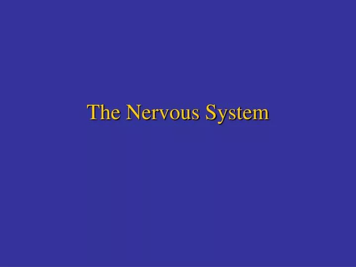 the nervous system