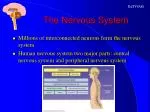 The Nervous System - slide 1