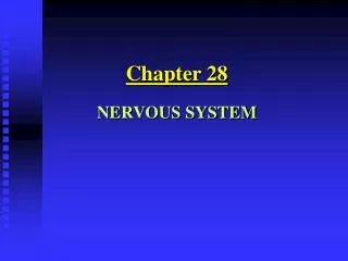 Chapter 28 NERVOUS SYSTEM
