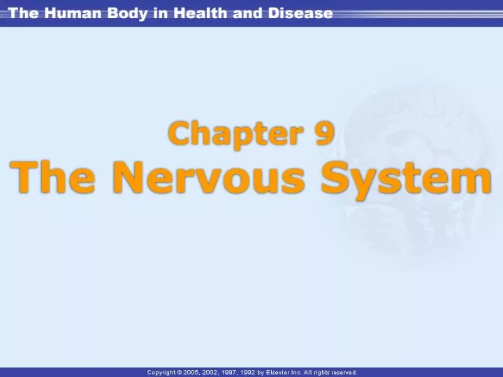 chapter 9 the nervous system