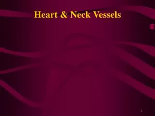 Heart &amp; Neck Vessels