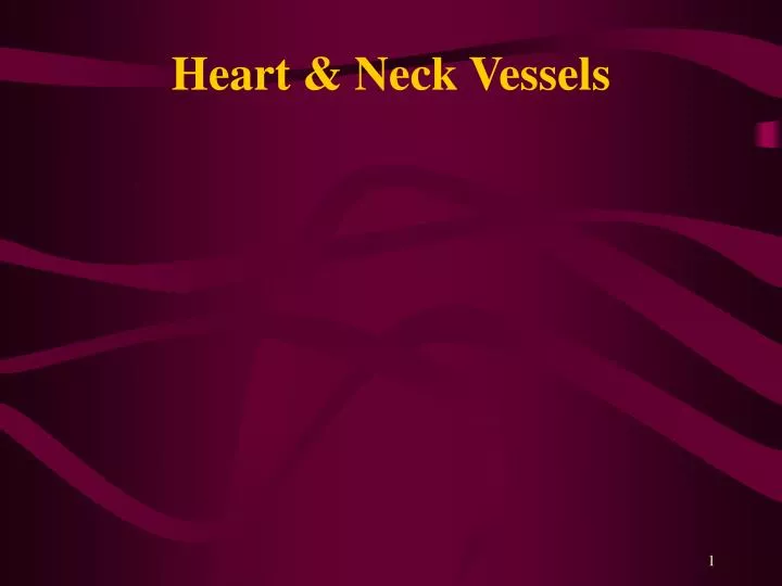 heart neck vessels