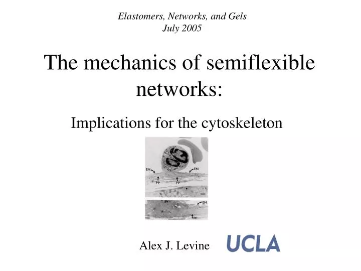 the mechanics of semiflexible networks