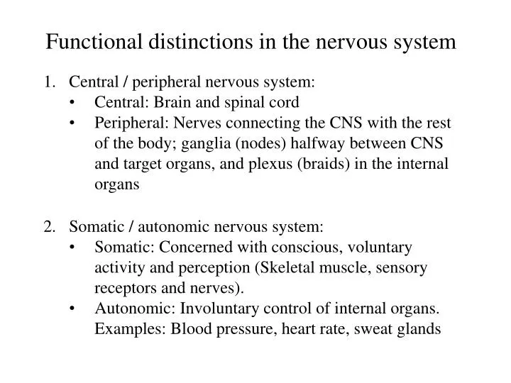 functional distinctions in the nervous system