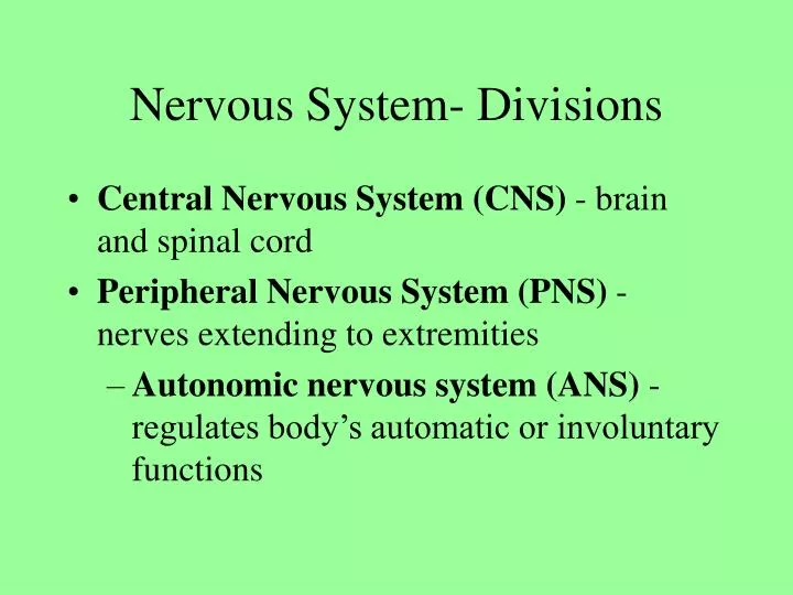 nervous system divisions
