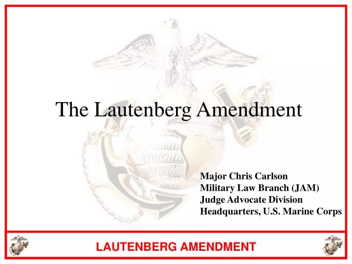 the lautenberg amendment