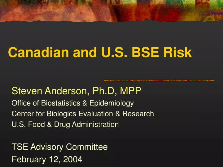 canadian and u s bse risk