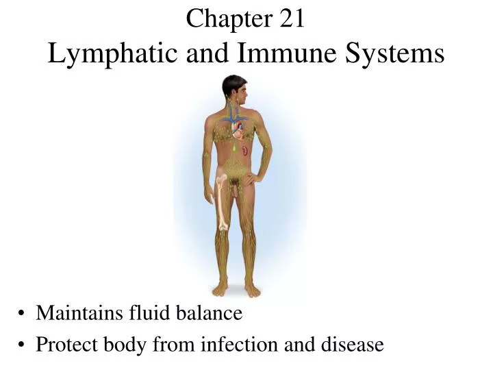 chapter 21 lymphatic and immune systems