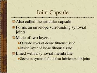Joint Capsule
