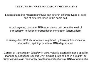 LECTURE 19: RNA REGULATORY MECHANISMS
