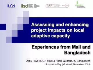 Assessing and enhancing project impacts on local adaptive capacity