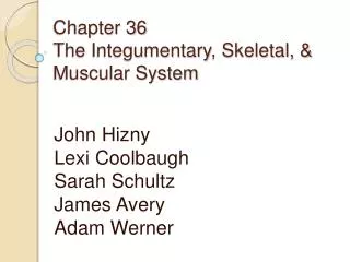 Chapter 36 The Integumentary , Skeletal, &amp; Muscular System