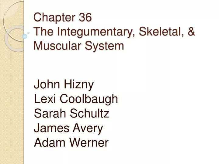 chapter 36 the integumentary skeletal muscular system